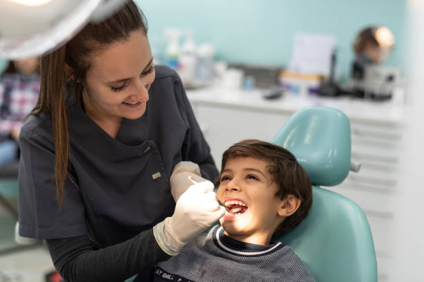 Best Emergency Dentist for Knocked-Out Tooth in Sandwich, IL